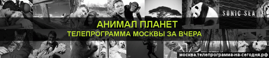 Телепрограмма за вчера канала Анимал Планет, Москва